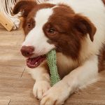 Dog Teeth Cleaning Chew Toy | Teeth Cleaning Toys for Dog