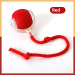 Smart Interactive Cat Ball Toy | Automated and interactive Cat Toy