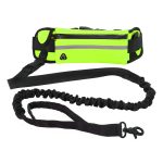 Belt Dog Leash | Bungee Leash for Small Dogs Walking Hand Free | Training Leash - Image 5