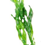 Fish Aquarium Decoration | Fish Aquarium Plastic Grass / Plants - Image 2