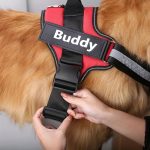 Personalised Dog Harness UK - No Pull Dog Harnesses Reflective Breathable - Image 5