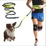 Belt Dog Leash | Bungee Leash for Small Dogs Walking Hand Free | Training Leash