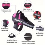 Personalised Dog Harness UK - No Pull Dog Harnesses Reflective Breathable - Image 2
