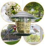 Out Door Garden Water Protected hanging Metal Bird Feeder - Image 4