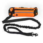 Belt Dog Leash | Bungee Leash for Small Dogs Walking Hand Free | Training Leash - Image 2